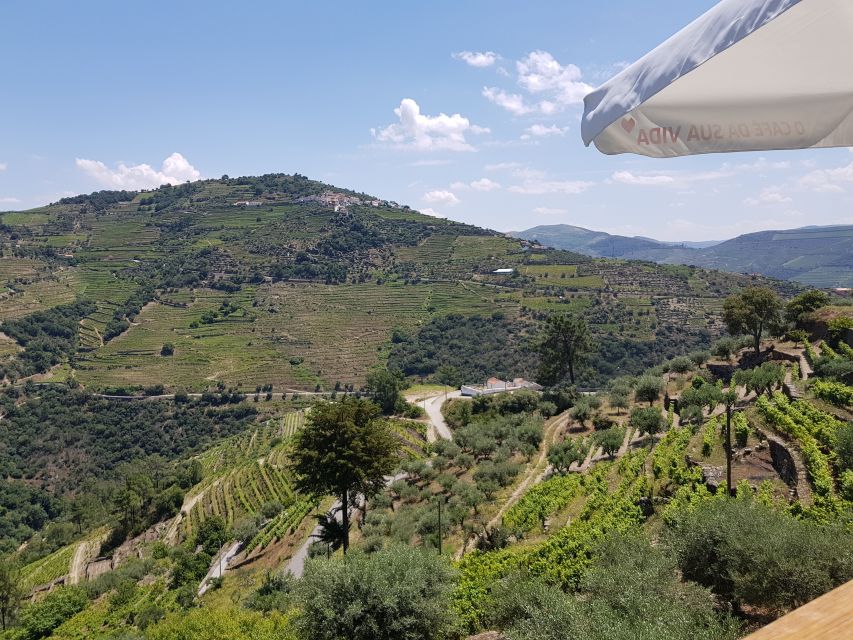 From Porto: Premium Douro Valley 4 Vineyards Tour with Lunch - The final winery and the last tasting