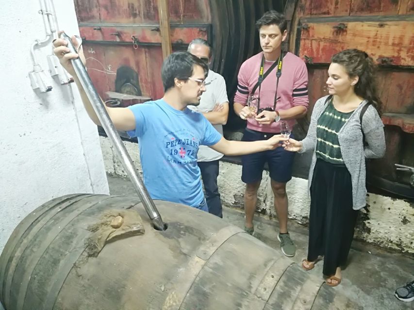 From Porto: Premium Douro Valley 4 Vineyards Tour with Lunch - What the $200 price gives you
