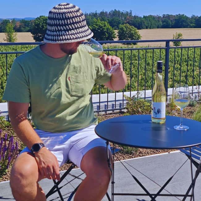 From Prague to the Vineyards: Wine & Gastronomy Tour - Why this Prague wine tour feels different