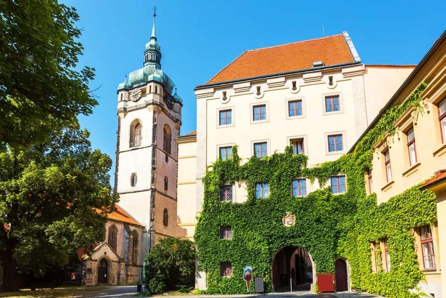 From Prague to the Vineyards: Wine & Gastronomy Tour - What the private format adds
