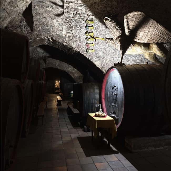 From Prague to the Vineyards: Wine & Gastronomy Tour - Practical advice before you book