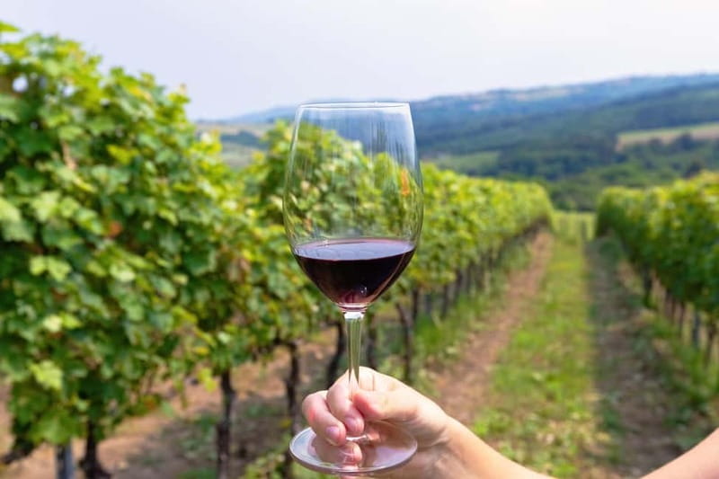From Roma: Montepulciano and Montalcino, on the Wine Routes - Why this Rome day trip works