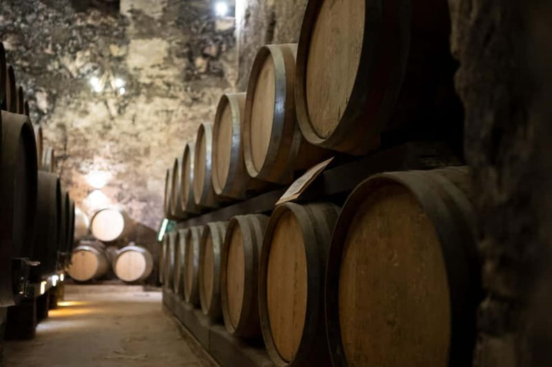 From Roma: Montepulciano and Montalcino, on the Wine Routes - Walking, weather, and what to pack