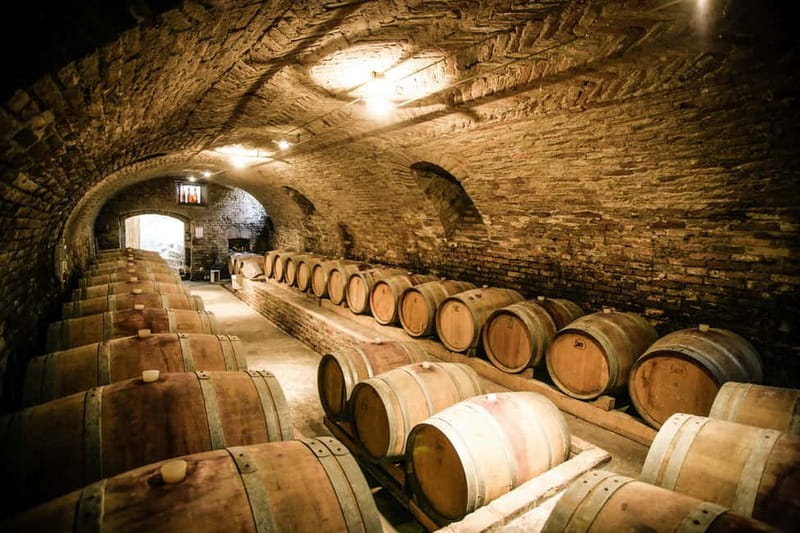 From Roma: Montepulciano and Montalcino, on the Wine Routes - Who should book this tour
