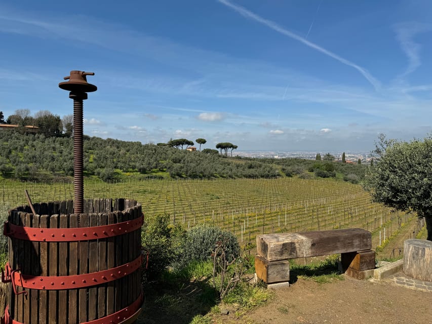 From Rome: Frascati Wine Tour with Lunch and Vineyard tour - Why Frascati makes a good wine day from Rome