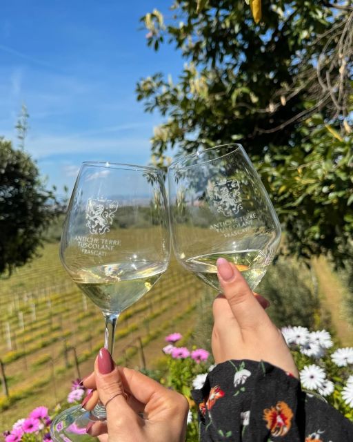 From Rome: Frascati Wine Tour with Lunch and Vineyard tour - Three wines, three different styles