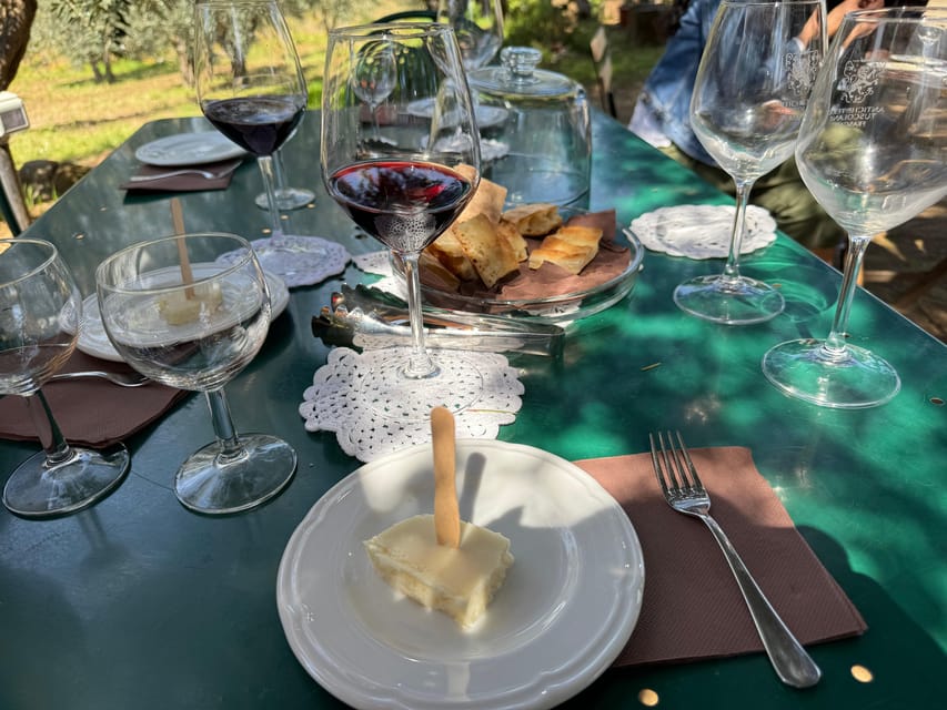 From Rome: Frascati Wine Tour with Lunch and Vineyard tour - Lunch at an old Frascati osteria