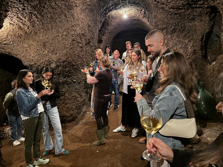 From Rome: Frascati Wine Tour with Lunch and Vineyard tour - What the $123.48 price really covers
