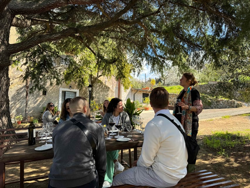 From Rome: Frascati Wine Tour with Lunch and Vineyard tour - Who should book this Frascati experience