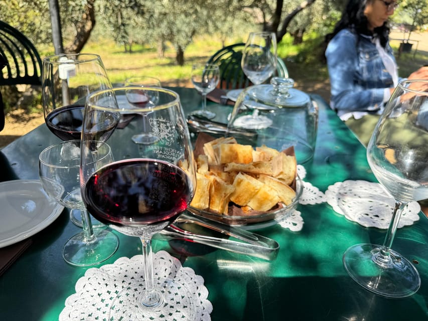 From Rome: Frascati Wine Tour with Lunch and Vineyard tour - Inside the family-owned Frascati winery