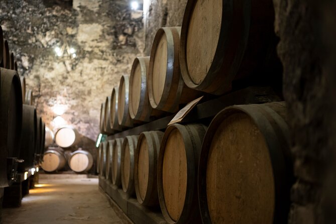 from Rome Montepulciano and Montalcino, the Wine Routes - Key points to know before booking