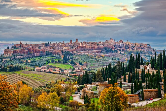 from Rome Montepulciano and Montalcino, the Wine Routes - The guide and group atmosphere