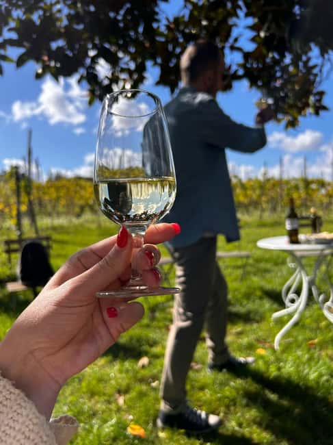 From Rome: Pasta Masterclass & Wine Tour in the Vineyard - The old cellar and the vineyard walk