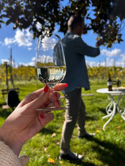 From Rome: Pasta Masterclass & Wine Tour in the Vineyard - Who will enjoy this most?