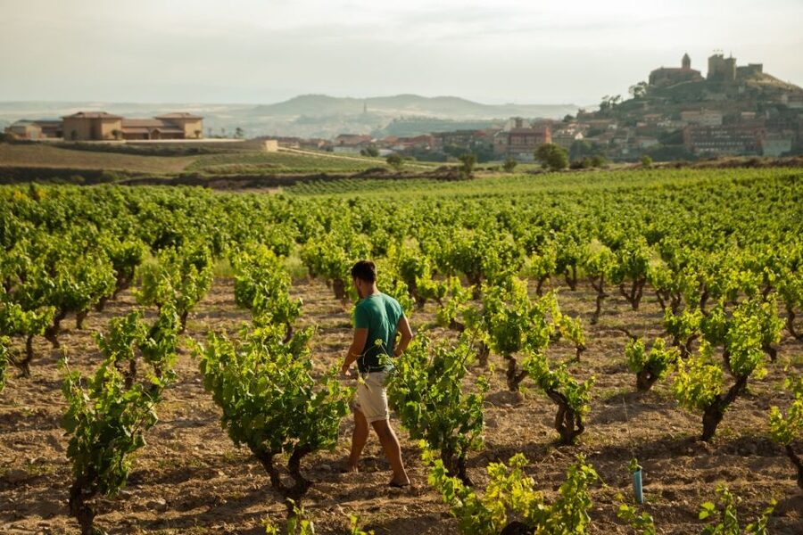 From San Sebastián: Private Rioja Wine Region Day Tour - Key points to know before booking