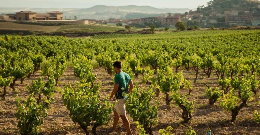 From San Sebastián: Private Rioja Wine Region Day Tour - The drive south into Rioja Alavesa