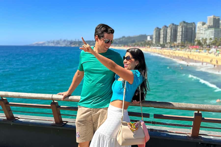 From Santiago: Vineyard, Valparaíso, and Viña del Mar Tour - Practical details before you reserve