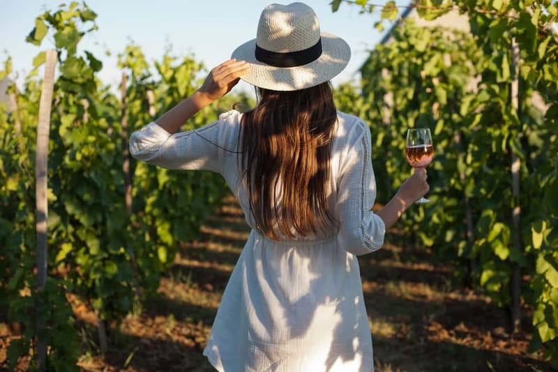 From Siena/Chianti: Dinner & Drinks in the Chianti Vineyards - Key points to know before booking