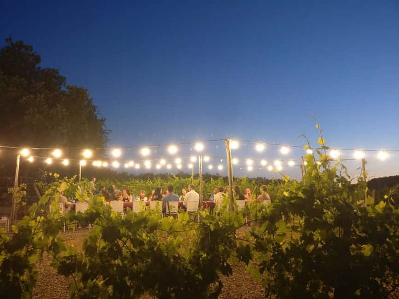 From Siena/Chianti: Dinner & Drinks in the Chianti Vineyards - Should you book it?