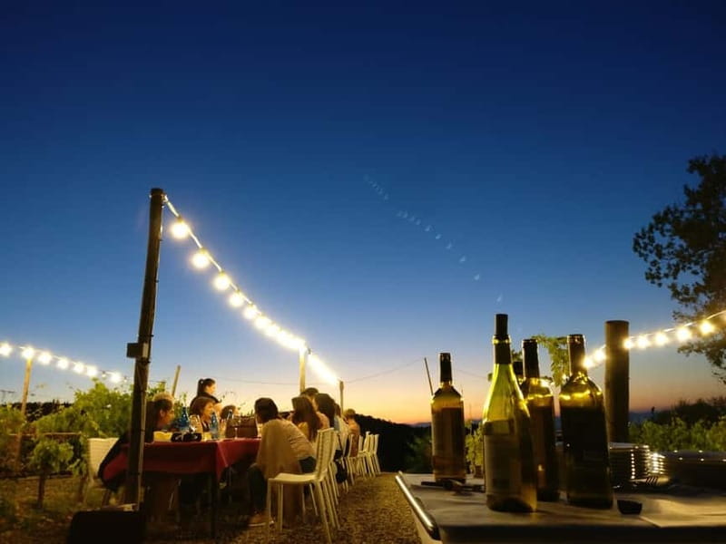 From Siena/Chianti: Dinner & Drinks in the Chianti Vineyards - From Siena station to the Chianti hills