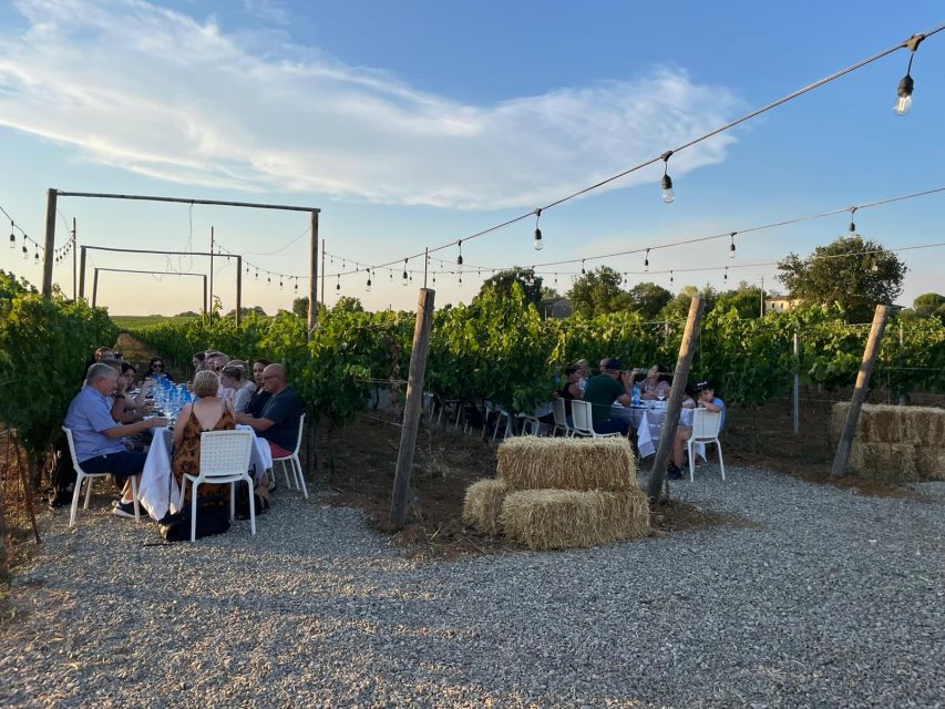 From Siena/Chianti: Dinner & Drinks in the Chianti Vineyards - Is $123.48 a fair price?