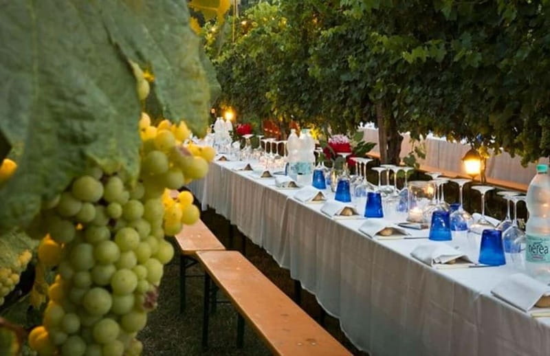 From Siena/Chianti: Dinner & Drinks in the Chianti Vineyards - Small details that make the evening easier