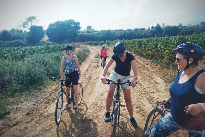 From Sitges: Bike Tour and Winery Visit with Free Hotel Pick Up. - What you learn about cava