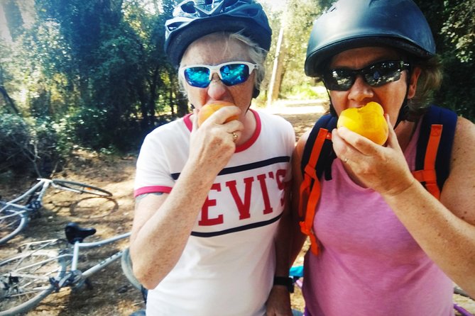 From Sitges: Bike Tour and Winery Visit with Free Hotel Pick Up. - Pickup, timing, and the small-group format