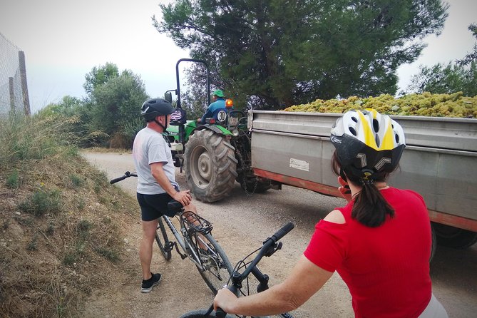 From Sitges: Bike Tour and Winery Visit with Free Hotel Pick Up. - Practical details before you go