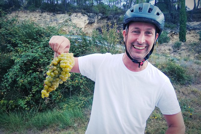 From Sitges: Bike Tour and Winery Visit with Free Hotel Pick Up. - A morning ride with vineyards, grapes, and local stops