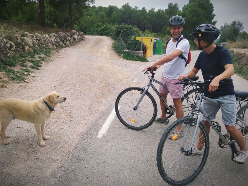 From Sitges: Cycling Tour with Winery visit and Tasting - Entering a ninth-generation family cellar