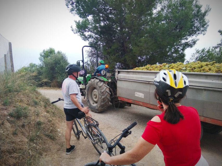 From Sitges: Cycling Tour with Winery visit and Tasting - What the $100 price includes
