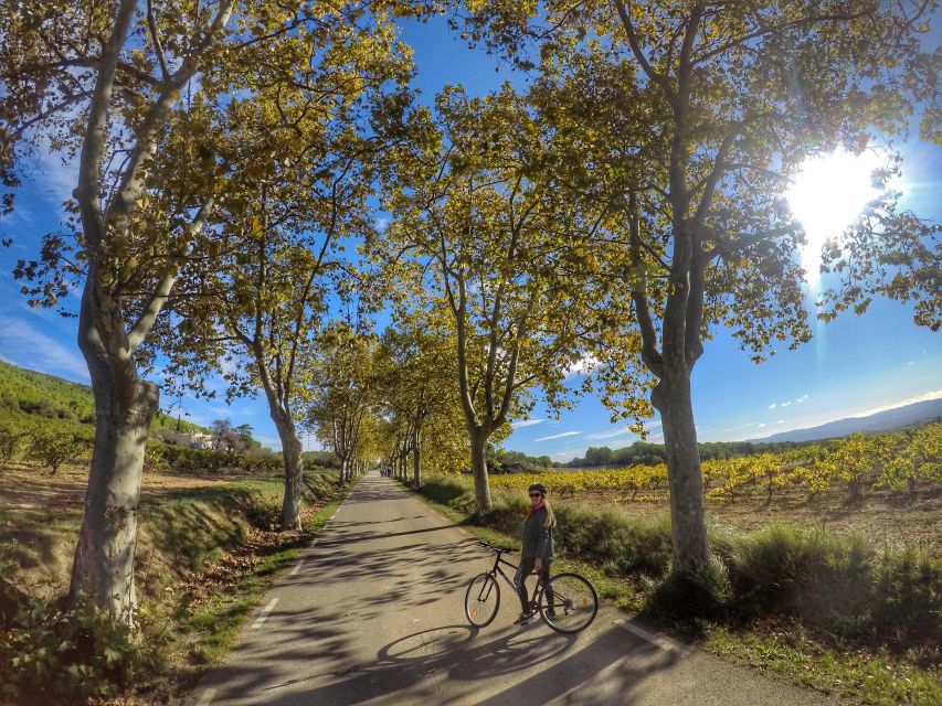 From Sitges: Paella Masterclass, Bike Ride and Winery Visit - Is $130 a fair price?