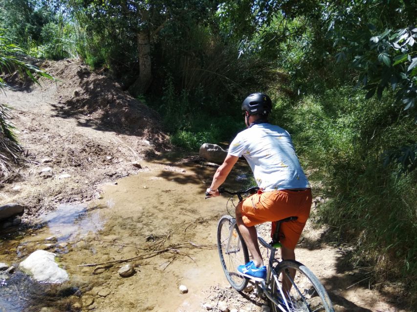 From Sitges: Paella Masterclass, Bike Ride and Winery Visit - Should you book this paella and cava tour?