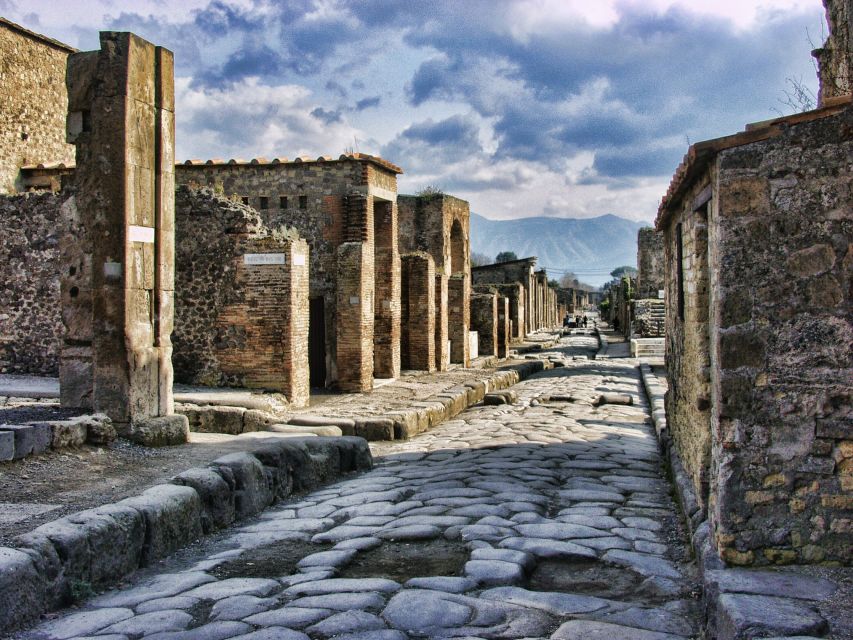 From Sorrento: Skip-the-Line Pompeii Tour and Vineyard Lunch - What you get for $157.47