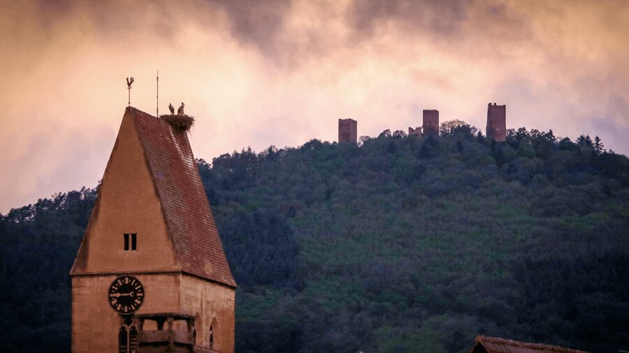 From Strasbourg: Colmar & Alsace Wine Route Private Day Trip - Patrick and the guide service