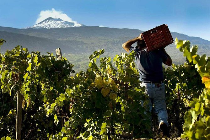 From Syracuse: Private Tour Mount Etna with Lunch at Etna Winery - The optional cable car and 4x4 ride to 3,000 meters