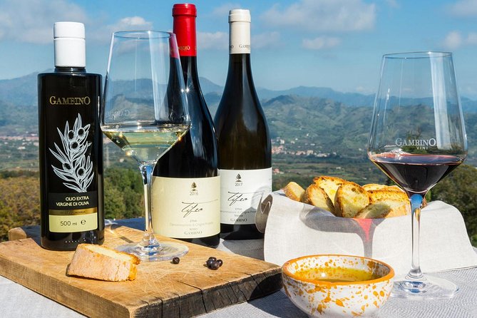 From Syracuse: Private Tour Mount Etna with Lunch at Etna Winery - What the private format really buys you
