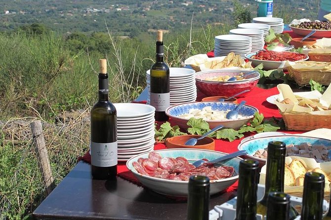 From Syracuse: Private Tour Mount Etna with Lunch at Etna Winery - Zafferana Etnea brings Etna to the table