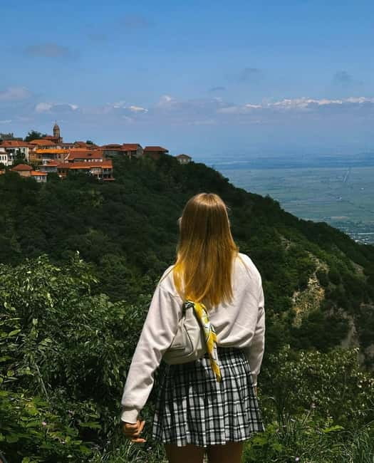 From Tbilisi: Kakheti Wine Region Tour with 9 Wine Tasting - Key points at a glance