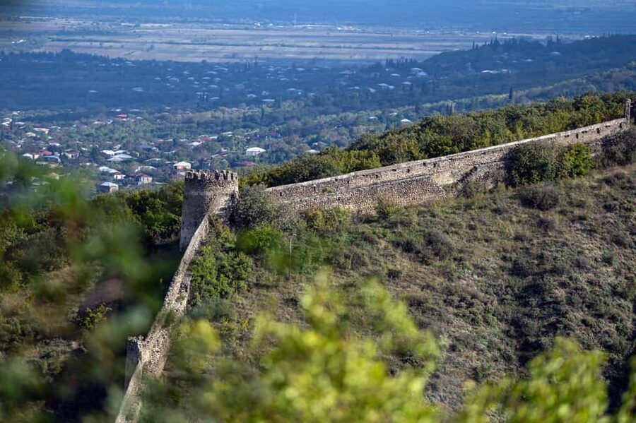 From Tbilisi: Kakheti Wine Region Tour with 9 Wine Tasting - Telavi finishes with wine, lunch, and old Georgia