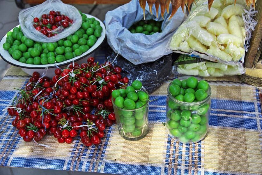From Tbilisi: Kakheti Wine Region Tour with 9 Wine Tasting - Who should book this Kakheti day trip