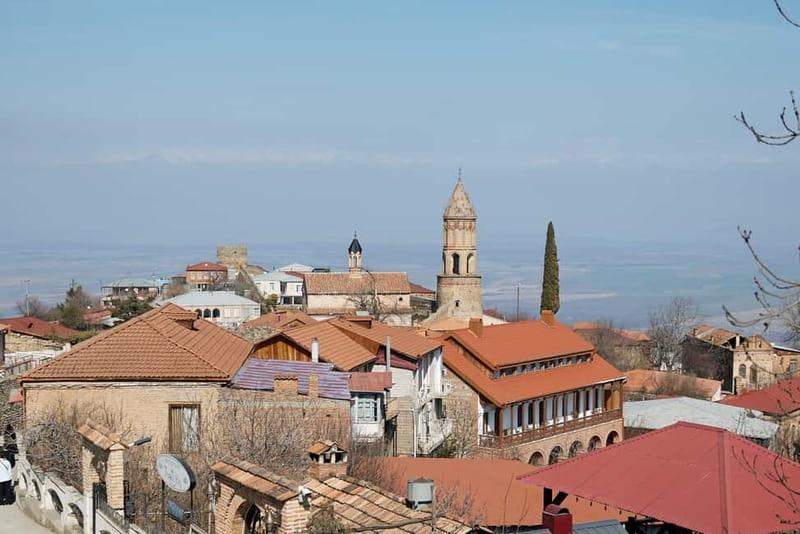 From Tbilisi: Kakheti Wine Region Tour with 9 Wine Tastings - The guide can shape the entire experience