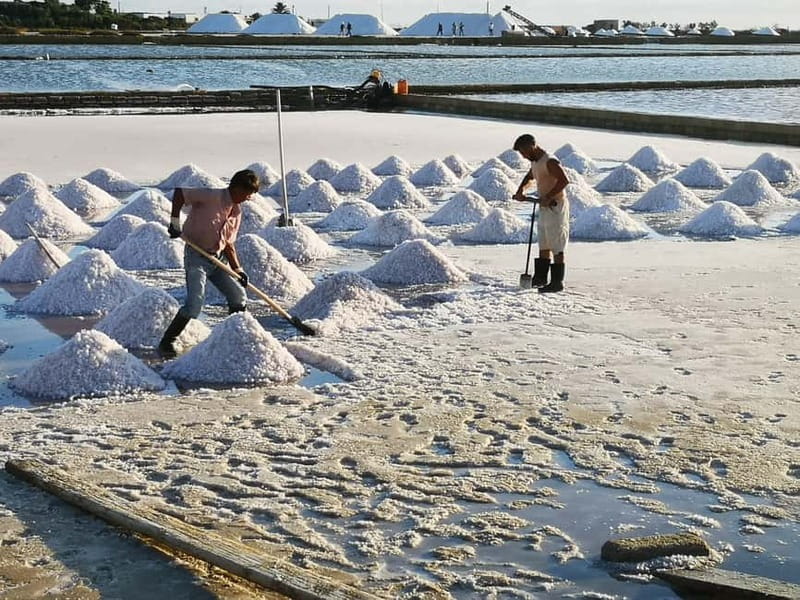 From Trapani: Salt Road Tour With Winery Visit and Boat Trip - Motya, an open-air museum in the lagoon