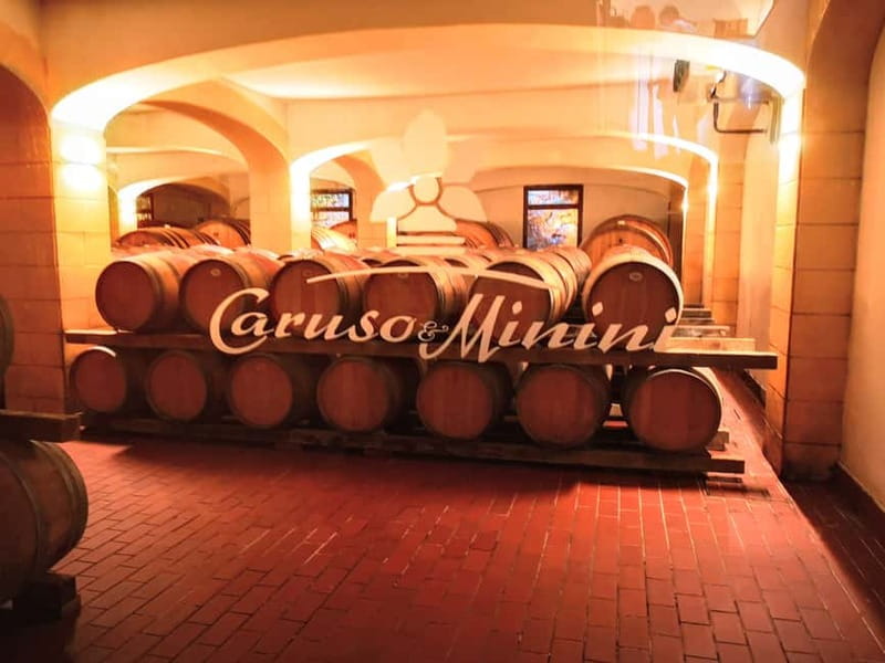 From Trapani: Salt Road Tour With Winery Visit and Boat Trip - What the guide adds to the day