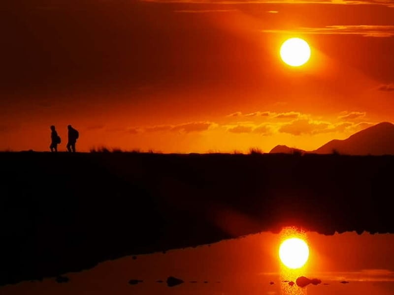 From Trapani: Salt Road Tour With Winery Visit and Boat Trip - Is $169.93 a fair price?