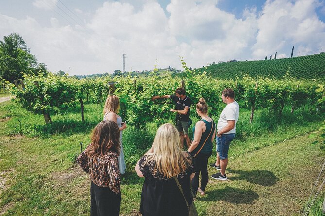 From Venice: Prosecco Wine Region Tour with 2 Tastings - The first winery near Conegliano