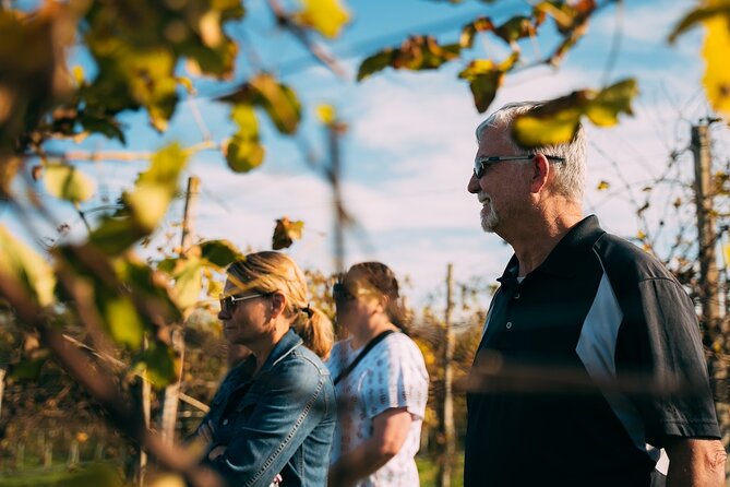 From Venice: Prosecco Wine Region Tour with 2 Tastings - The road through Conegliano and Valdobbiadene