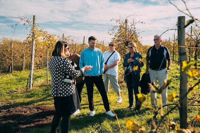 From Venice: Prosecco Wine Region Tour with 2 Tastings - The second winery in Valdobbiadene