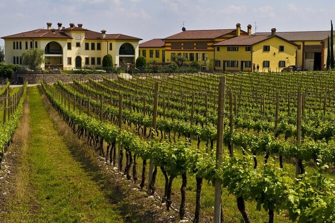 From Verona: private trip to Sirmione Lake Garda & Valpolicella Wine Region - Garda and Punta San Vigilio